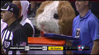Is This The Saddest Mascot?